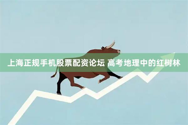 上海正规手机股票配资论坛 高考地理中的红树林